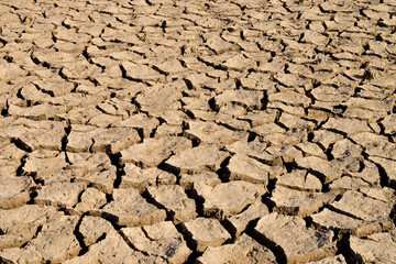 Dry cracked field. The global shortage of water on the planet. Global warming and greenhouse effect concept. Dry soil. 