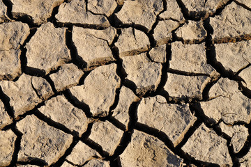Dry cracked field. The global shortage of water on the planet. Global warming and greenhouse effect concept. Dry soil. 