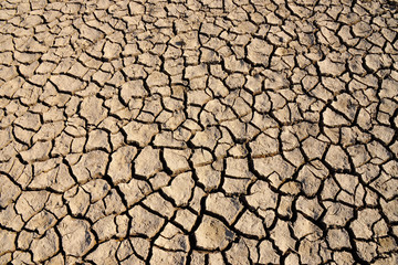 Dry cracked field. The global shortage of water on the planet. Global warming and greenhouse effect concept. Dry soil. 