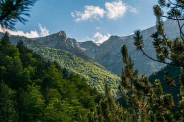 View of some rocky peaks throught the vegetation in Olympus mountain