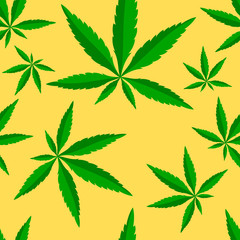 Green herb marijuana leaf on background.