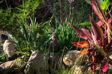 A hidden Bhudda in the zen garden.