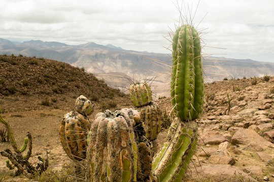 Mountains of the desert in Chile.