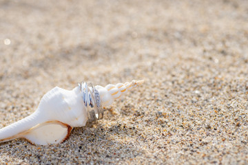 巻貝とペアリング