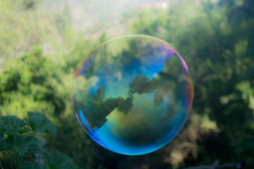 Bubble catch!