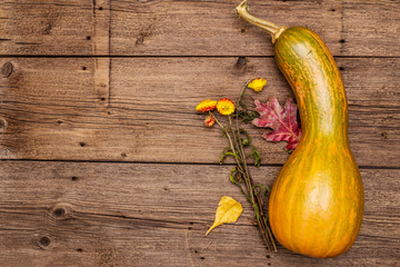Traditional autumn harvest background. Fresh pumpkin, flowers, leaves. Old wooden boards background