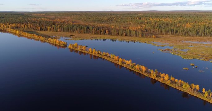 Autumn colors in Lapland,  Aerial, tracking, drone shot, around a esker on lake Almansuvanto, surrounded by foliage color forest, golden hour, on a sunny, fall evening, in Sodankyla, Lapland, Finland