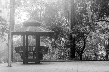 Black and white blur picture of wooden chair in the garden