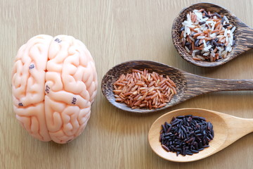 variety of rice and human brain anatomy model with healthy concept