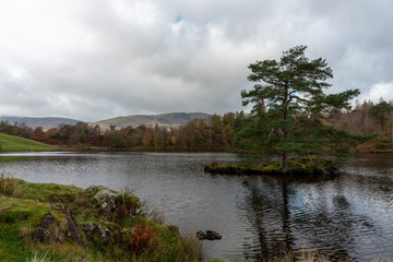 Morning light at Tarn Hows in the English Lake District with views of Yewdale Crag, and Holme Fell during autumn.