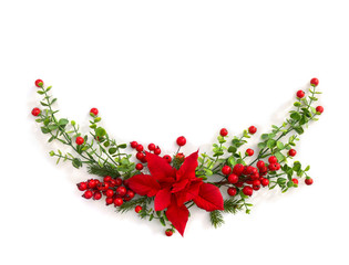 Christmas decoration. Flower of red poinsettia, branch christmas tree, red berry on a white...