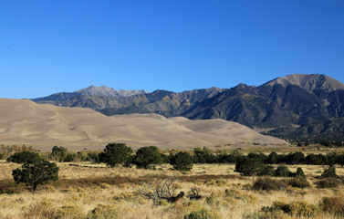 National Park Great Sand Dunes in Colorado, USA