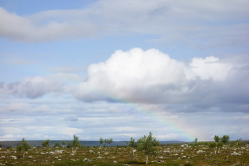Fototapeta na wymiar Kevo National Park in Finland