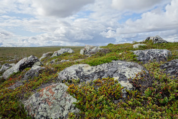 Kevo national Park in Finland