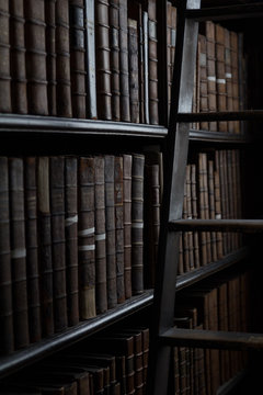 Bookshelf Ladder Trinity College Library