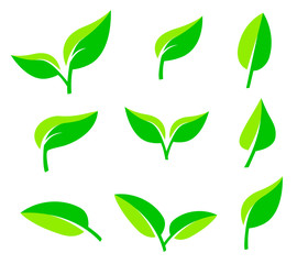green nature - 5