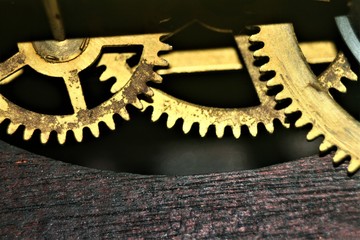 gears on a white background