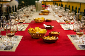 Sherry wine tasting, selection of different jerez fortified wines from dry to very sweet in glasses, Jerez de la Frontera, Andalusia, Spain