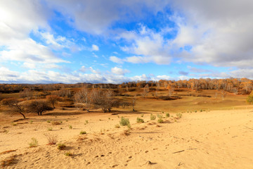 natural scenery of the princess lake of Ulan cloth in Inner Mongolia