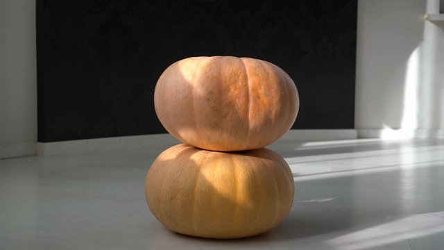 Three pumpkins lie on the floor on top of each other and the young man takes them one by one.