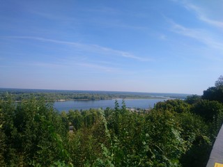  Shevchenko Forest