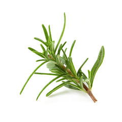 Fresh Rosemary isolated over a white background