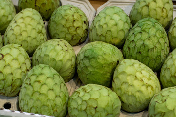 Tropical fruit cherimoya, ice cream fruit or custard apple