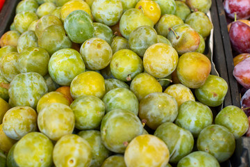 Sweet ripe green plums, healthy organic fruits
