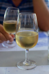Sherry wine tasting, dry fino, manzanilla or palomino jerez fortified wine in glasses, Jerez de la Frontera, Andalusia, Spain