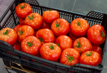 Fresh harvested ripe red tomatoes for sale on weekly spanish market in Andalusia, Spain