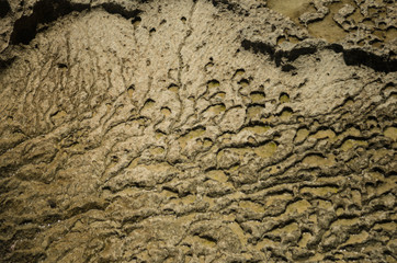 View of clifs on trace des falaises in Guadeloupe.