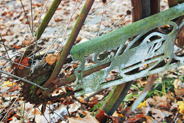 autumn leaves and bicycle 
