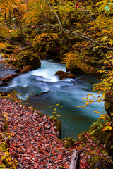 The Oirase stream in Aomori, Japan