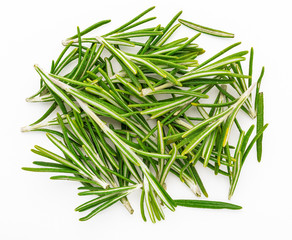 Freshly cut green rosemary leaves (Rosmarinus officinalis). Isolated on white background Ingredient of Mediterranean cuisine and healing home remedy.