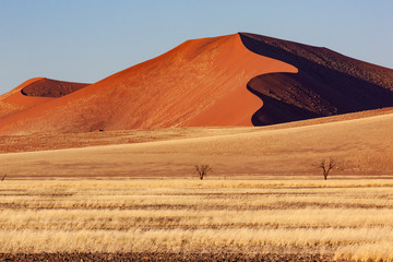 Fototapeta na wymiar Namib Desert - Namibia - Africa