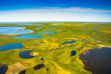 Landscape of the arctic tundra in summer. Rivers, lakes, northern vegetation. View from above. The...