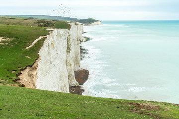 Top view of Seven Sisters National Park chalk cliffs outside eastbourne, Sussex England, UK