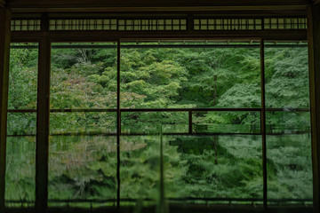 京都　瑠璃光院　日本庭園　紅葉　数寄屋造り　観光　写真素材　八瀬　お抹茶　お茶室　ライトアップ