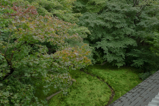 100 BEST 数寄屋造りIMAGES, STOCK PHOTOS u0026 VECTORS Adobe Stock