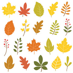 Obraz premium Set of colorful autumn leaves and berries. Isolated on white background. Simple design. Flat style vector illustration.