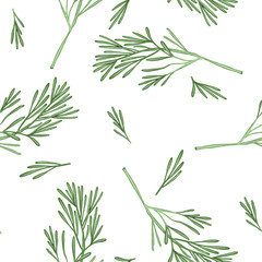 Seamless pattern of hand drawn branches of rosemary, isolated on a white background