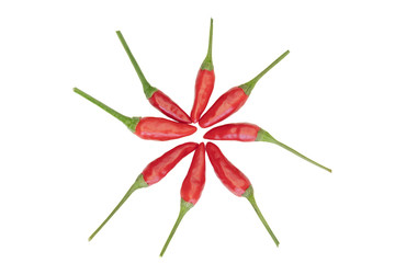 Red chilies displayed on white background