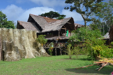 Fototapeta na wymiar large thatched house amazonas colombia