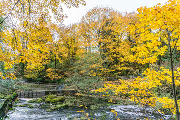 Tumwater Falls Park Autumn Landscape