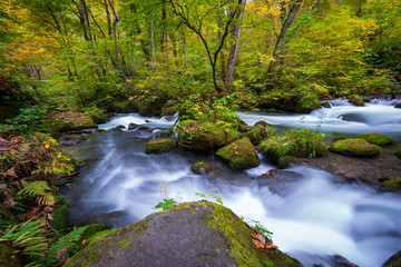 Obraz premium The Oirase stream in Aomori, Japan