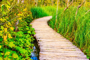 Wooden pathway, clear water and green forest in National Park Plitvice Lakes in autumn, Croatia