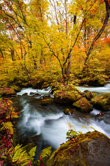 The Oirase stream in Aomori, Japan