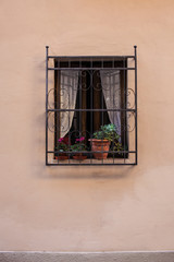  Old window with bars quaint white curtains potted plants sitting in the window 