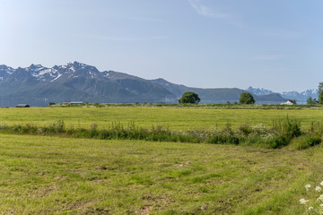 Fototapeta na wymiar grass fields on fjord coast, near Gjerstad, Norway