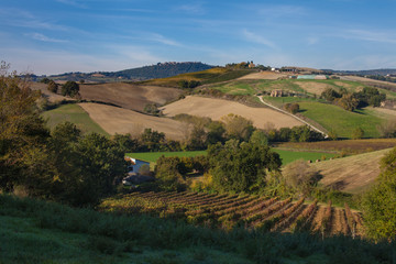 Fototapeta na wymiar Vivid view of Italy village blue sky majestic wine country